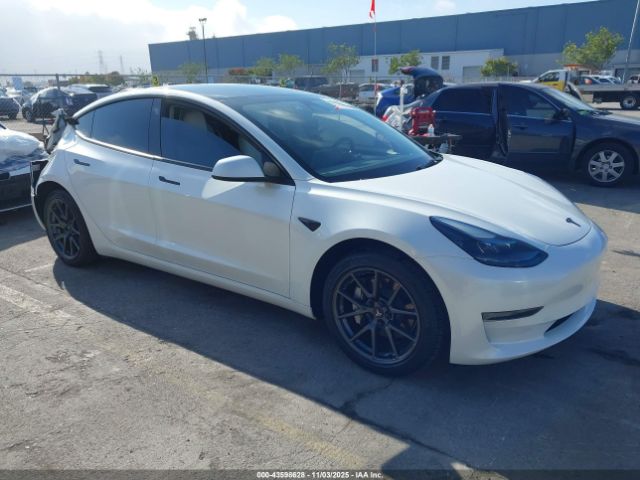 Tesla Model 3 Rear-wheel Drive Image 1