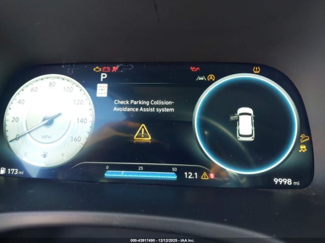 Hyundai PALISADE Calligraphy Image 13