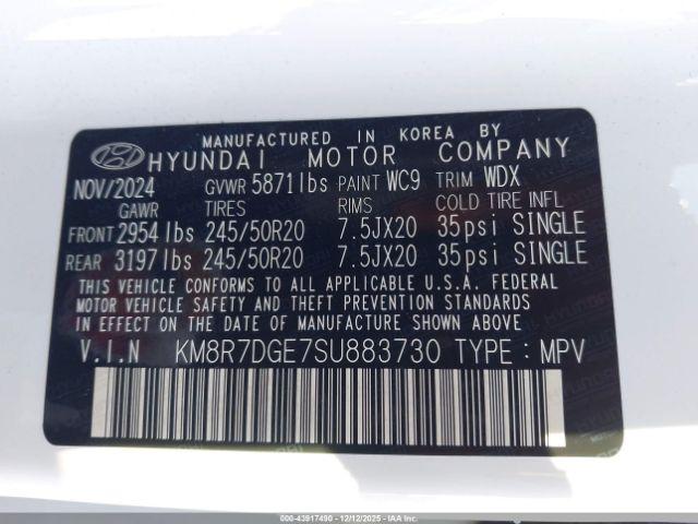 Hyundai PALISADE Calligraphy Image 5