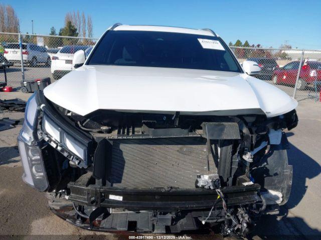 Hyundai PALISADE Calligraphy Image 8