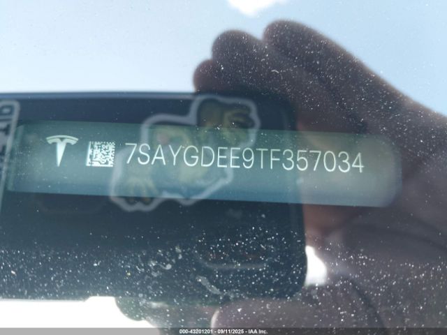 Tesla Model Y Image 6