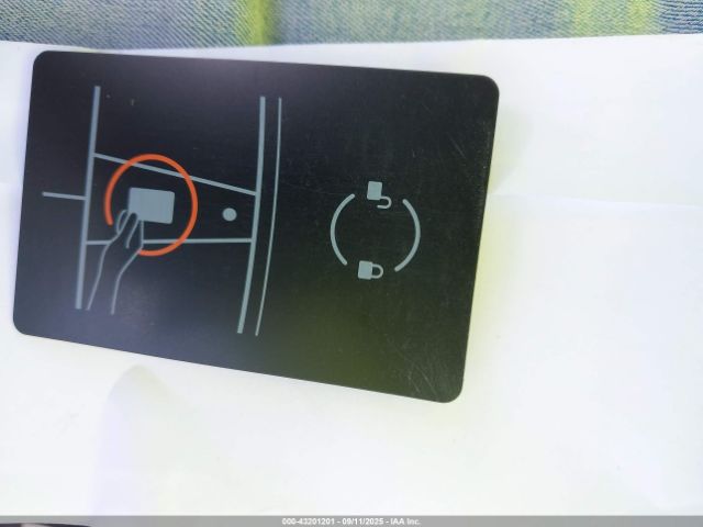 Tesla Model Y Image 5