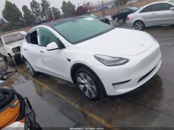  Salvage Tesla Model Y